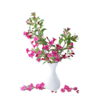 نباتات وزهور